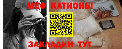 прущие грибы Бердск