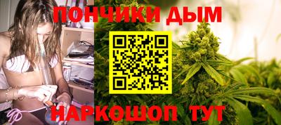 прущие грибы Бердск