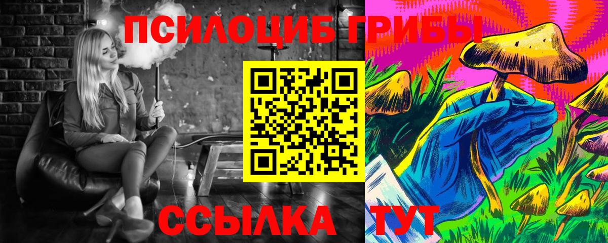 Псилоцибиновые грибы мицелий Архангельск